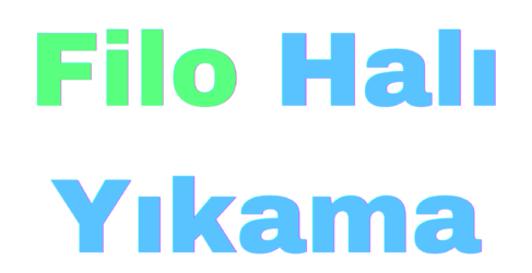 Filo Halı Yıkama